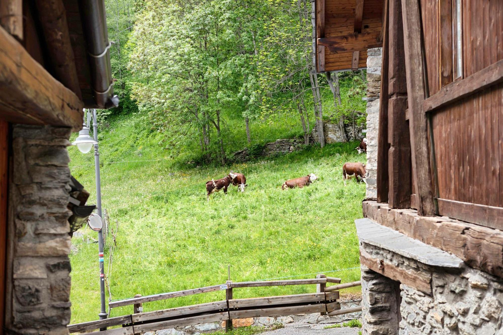 Apartament Aux Pieds Du Malatra' 1 Saint-Rhemy-En-Bosses Zewnętrze zdjęcie